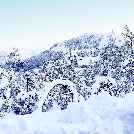 Stunning In With Sauna Semesterbostad Aseral