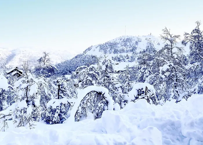 In With Wifi Дом отдыха Aseral