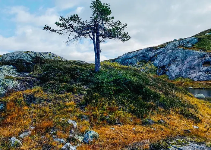 In With Wifi Дом отдыха